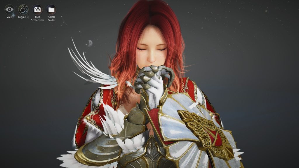 Panduan Valkyrie Black Desert Online Jonooit