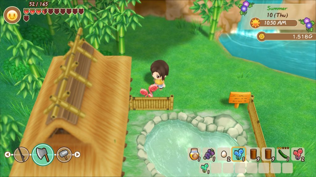 Panduan Foraging Story of Seasons Friends of Mineral Town Jonooit